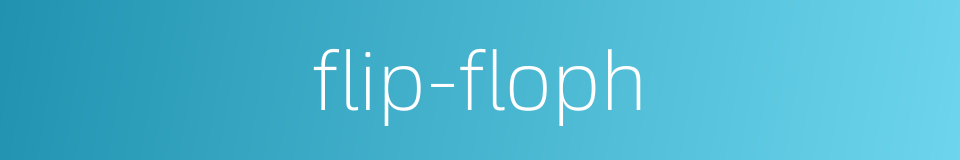 flip-floph的同义词
