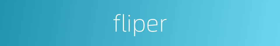 fliper的同义词