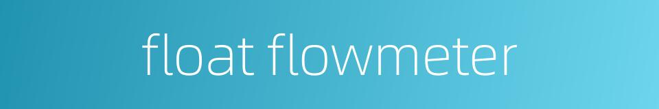 float flowmeter的同义词