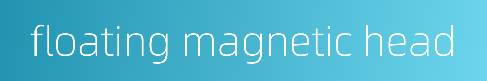 floating magnetic head的同义词