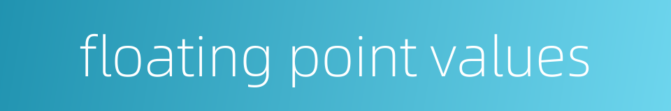 floating point values的同义词