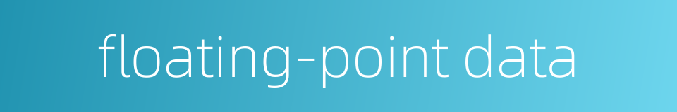 floating-point data的同义词