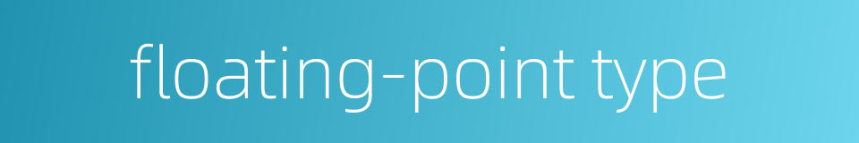 floating-point type的同义词