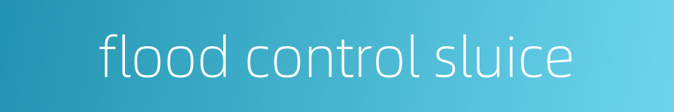 flood control sluice的同义词
