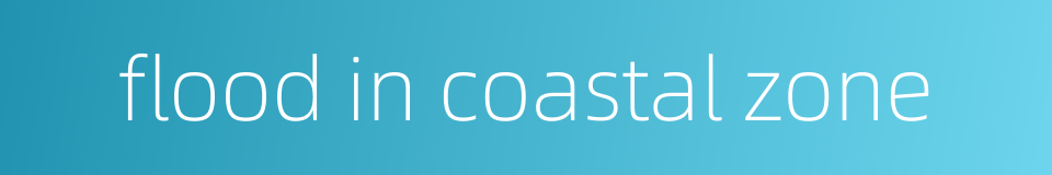 flood in coastal zone的同义词