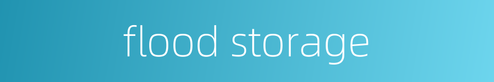flood storage的同义词