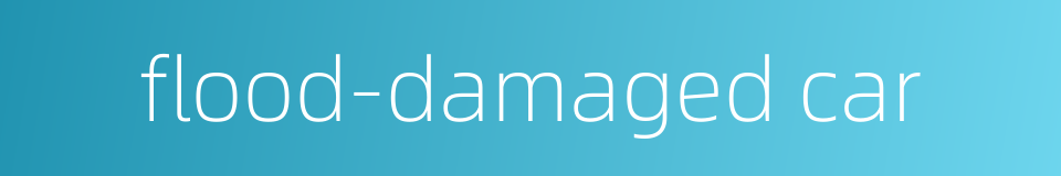 flood-damaged car的同义词