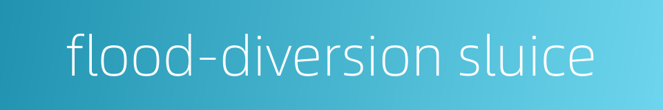 flood-diversion sluice的同义词