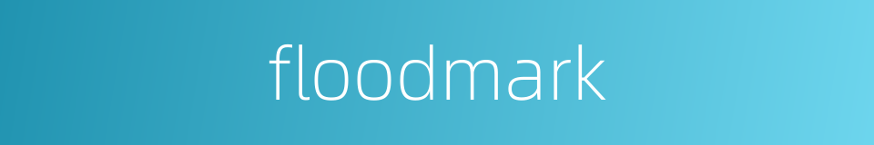 floodmark的同义词