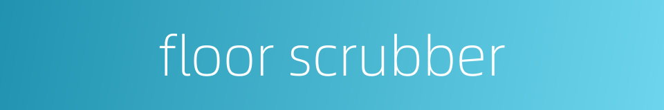 floor scrubber的同义词