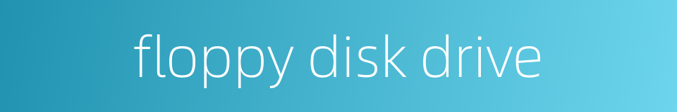 floppy disk drive的同义词