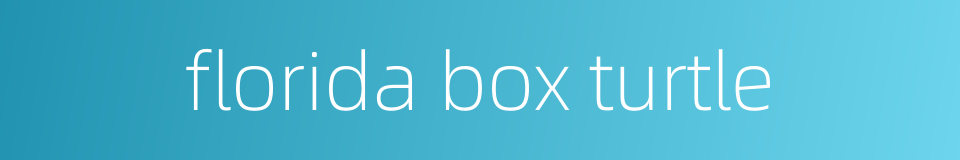 florida box turtle的同义词