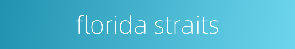 florida straits的同义词