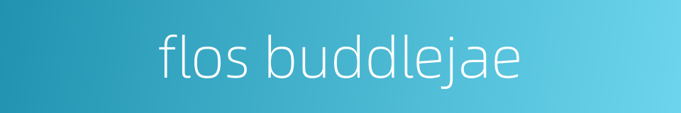 flos buddlejae的同义词