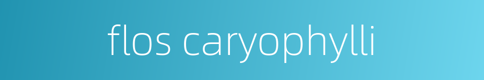 flos caryophylli的同义词