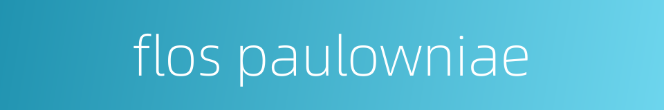 flos paulowniae的同义词