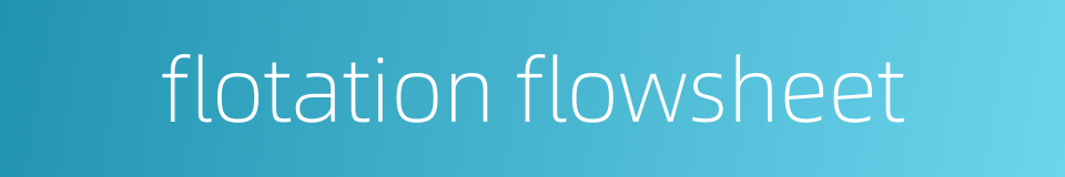 flotation flowsheet的同义词