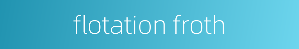 flotation froth的同义词