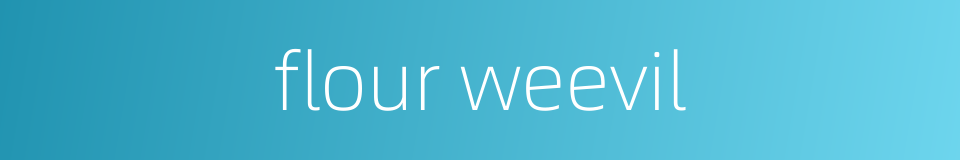 flour weevil的同义词