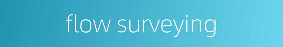 flow surveying的同义词