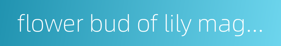 flower bud of lily magnolia的同义词