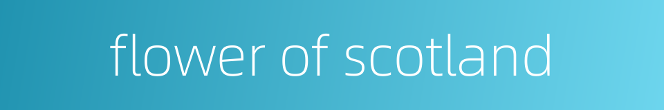 flower of scotland的同义词