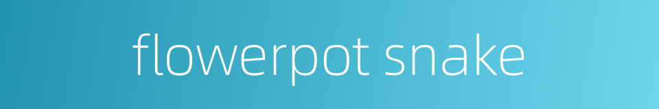 flowerpot snake的同义词