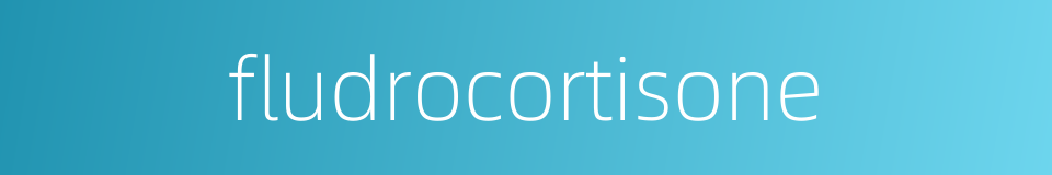 fludrocortisone的同义词