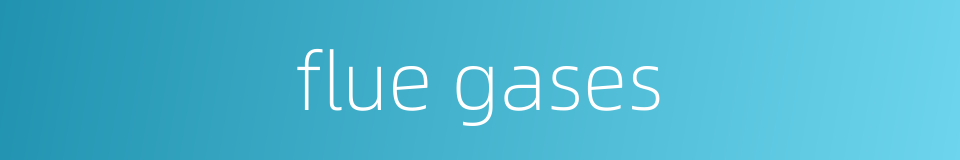 flue gases的同义词