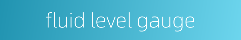 fluid level gauge的同义词