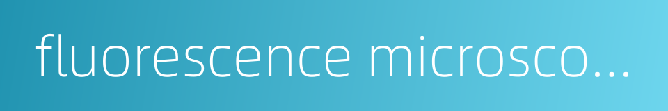 fluorescence microscopy的同义词