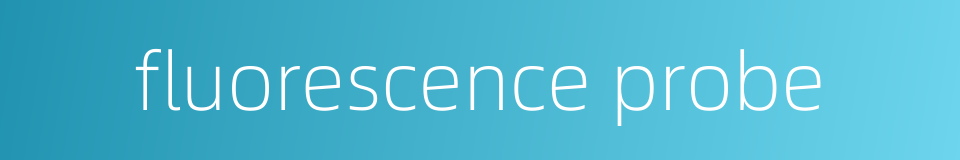 fluorescence probe的同义词