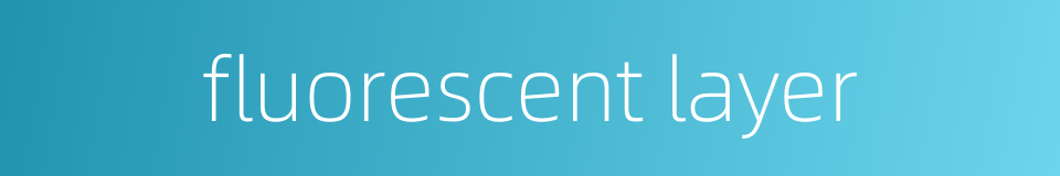 fluorescent layer的同义词