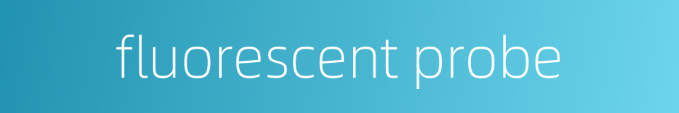 fluorescent probe的同义词