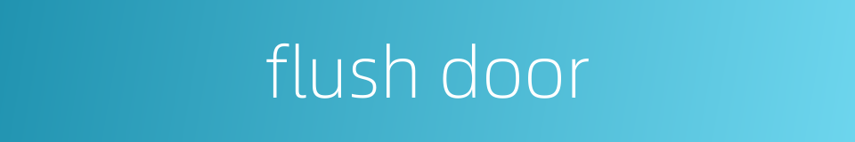 flush door的同义词
