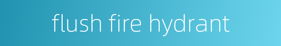 flush fire hydrant的同义词