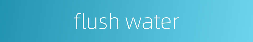 flush water的同义词