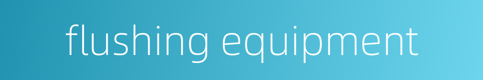flushing equipment的同义词