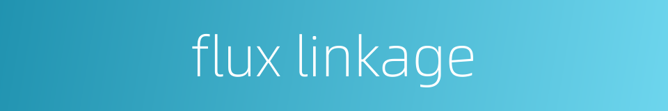 flux linkage的同义词