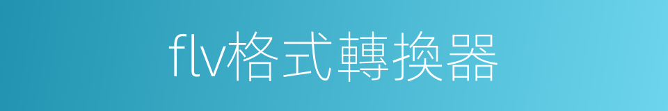 flv格式轉換器的同義詞