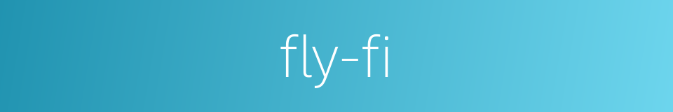 fly-fi的同义词