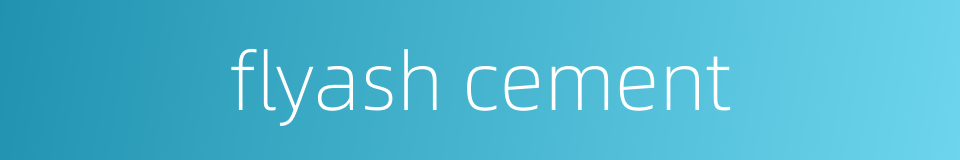 flyash cement的同义词