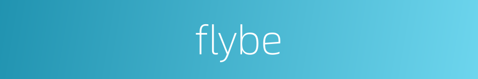 flybe的同义词