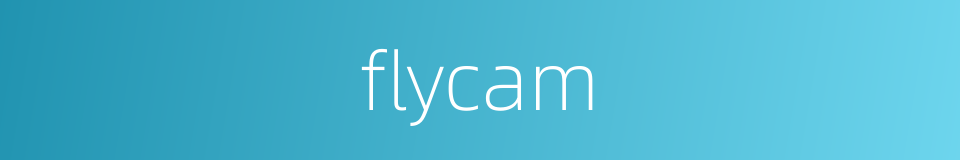 flycam的同义词