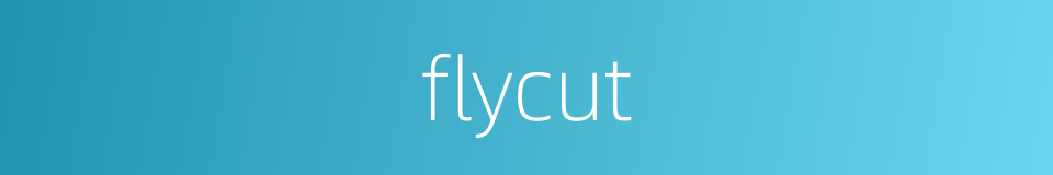 flycut的同义词
