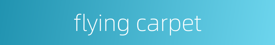 flying carpet的同义词