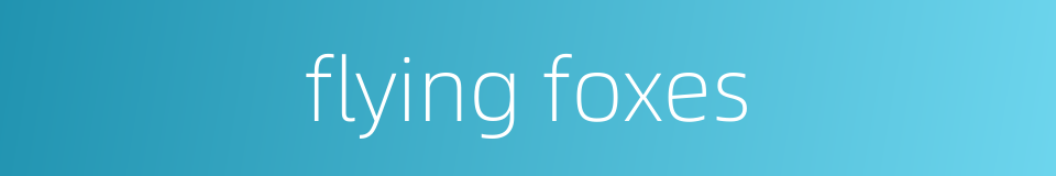 flying foxes的同义词