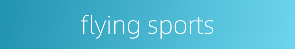 flying sports的同义词