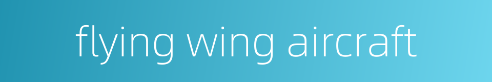 flying wing aircraft的同义词