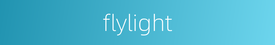 flylight的同义词